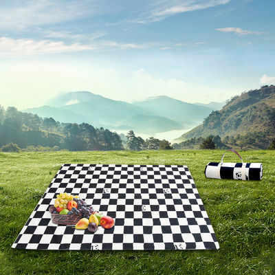 Outdoor Travel Camping Picnic Blanket Waterproof Sand Proof Padded Picnic Blanket With Carry Strap